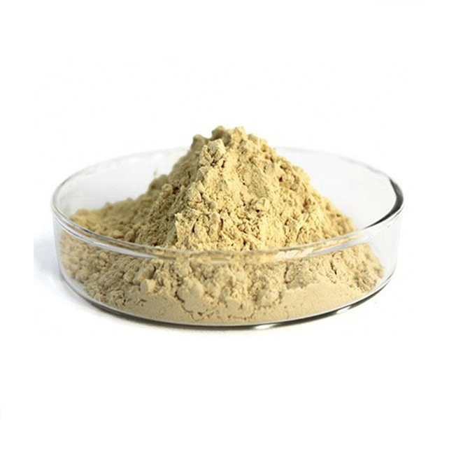 Soy Isoflavones Extract 40% (50mg)